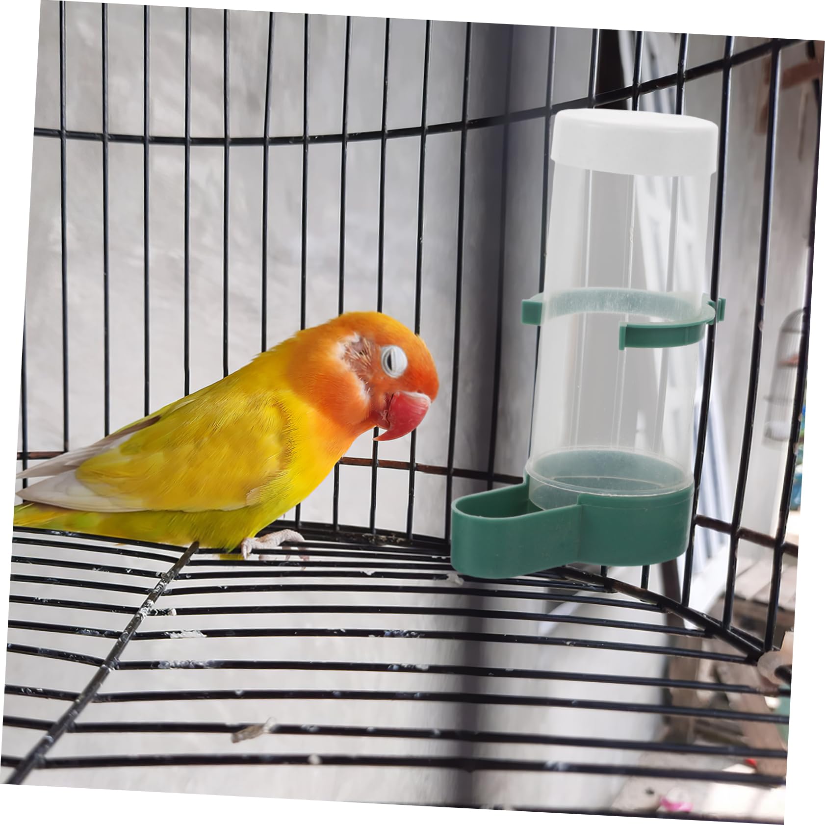 20stücke Automatischer Vogelfutterspender Wasserspender Für Vögel Für Wellensittiche Nymphensittiche Kanarienvögel Und Mit Praktischem Toploading-Design Für Einfache