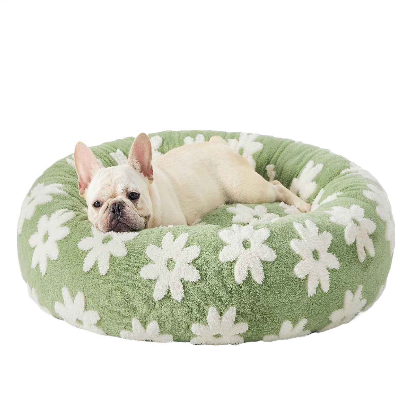 Cama suave para gatos que evita el suelo frío gracias a su mullido cojín antideslizante interior