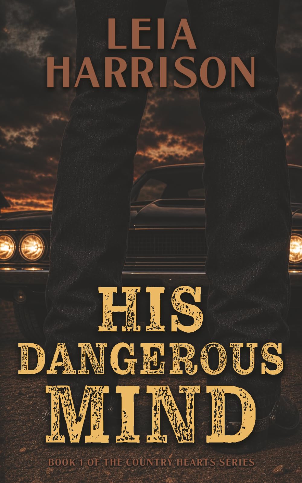 His Dangerous Mind: 1 (Country Hearts)