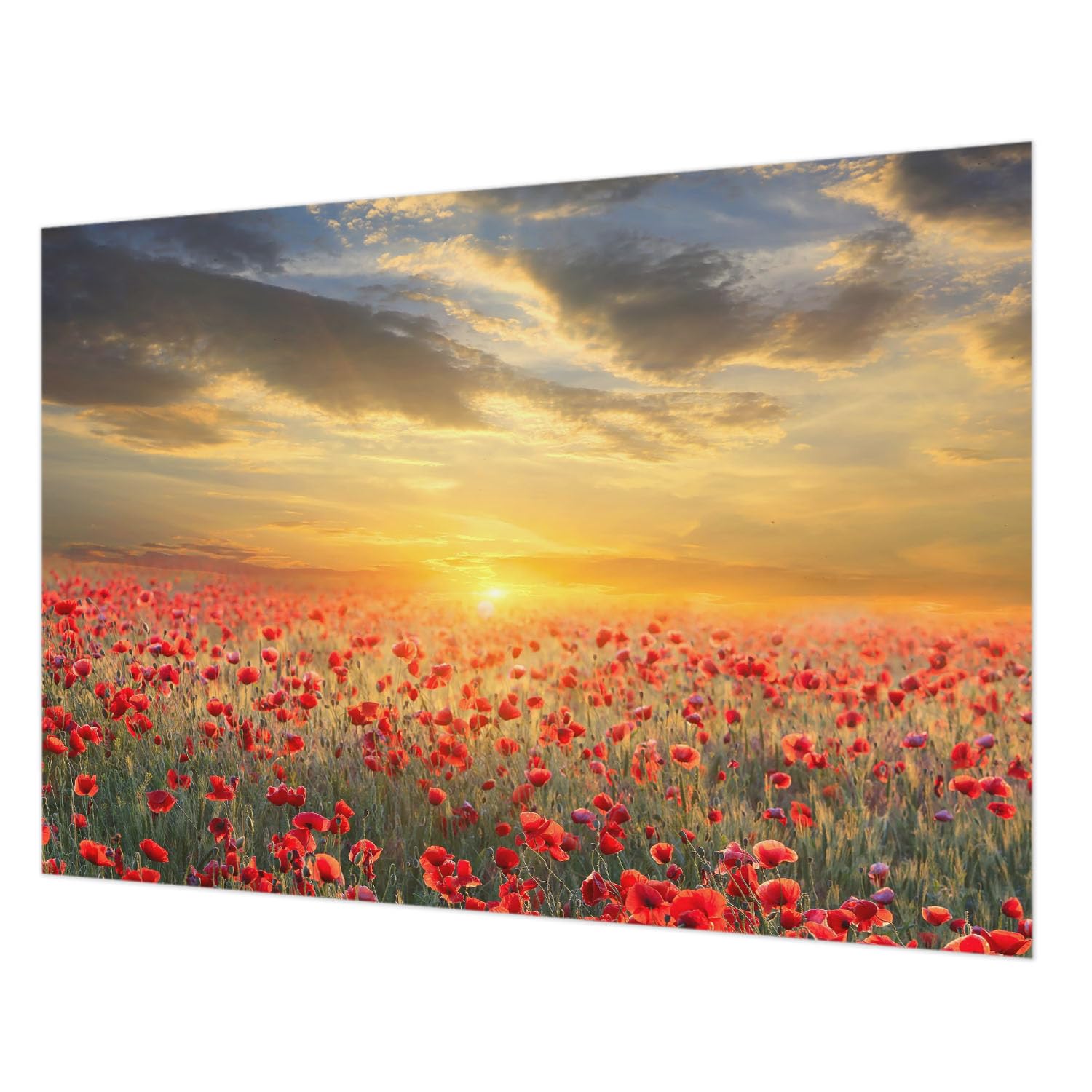 Tapisserie intissée champ de pavots 208x146 cm pour décoration