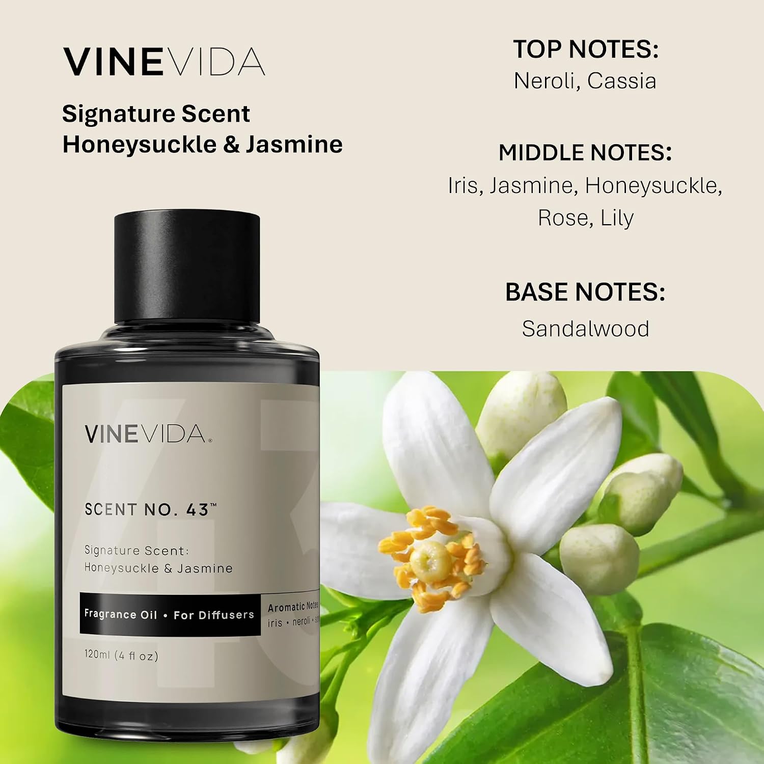 VINEVIDA [4 Fl Oz] Honeysuckle & Jasmine Fragrance Oil for Cold Air Diffusers, Essential Oils for Diffuser Oil Refill & Air Freshener Room Spray