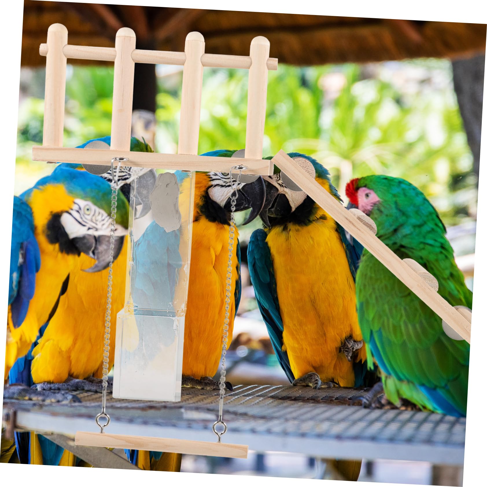 Toddmomy Parrot Swing Playground with Climbing Ladder Durable Wooden Bird for Exercise and Coordination for Parakeets Cockatiels and Other Pet Birds