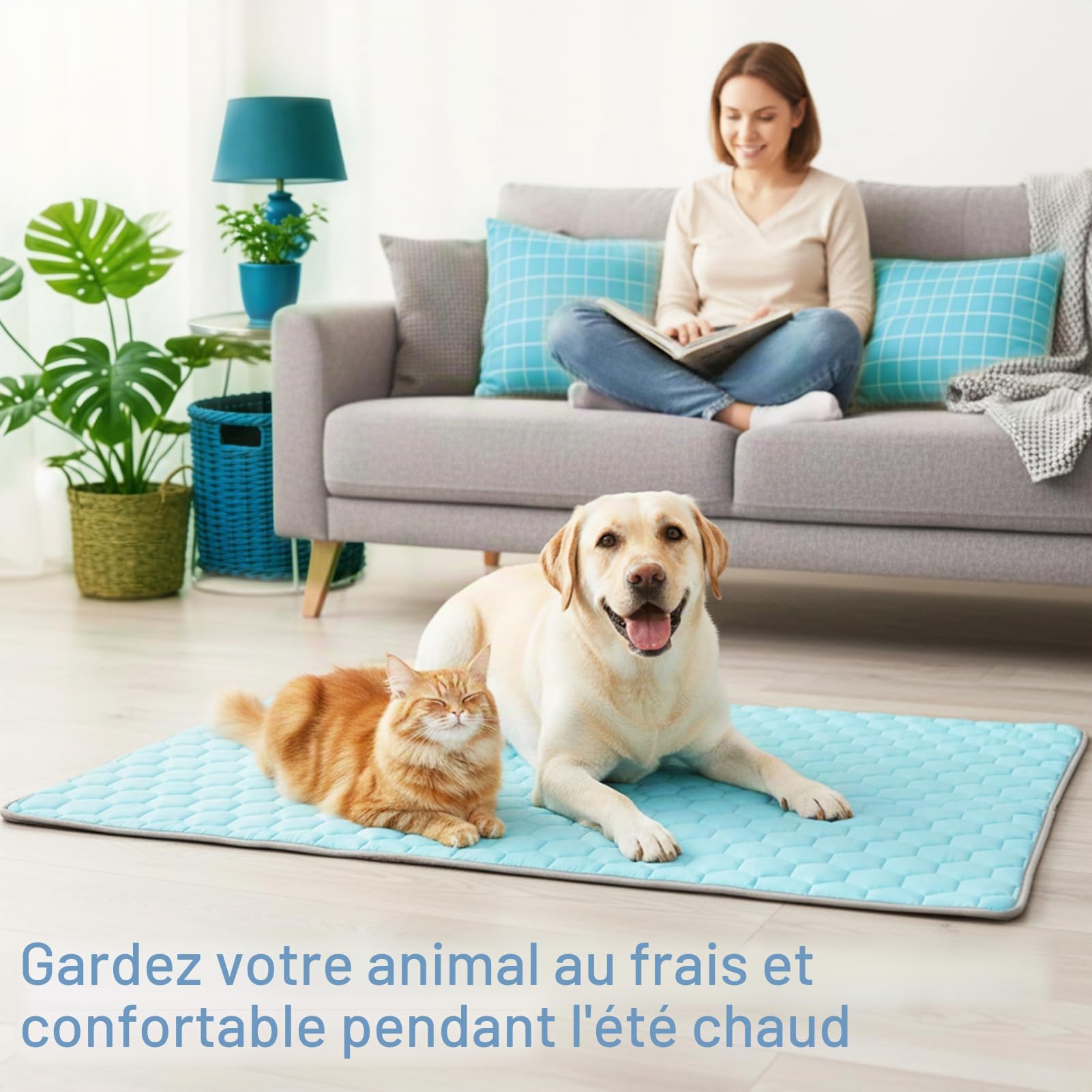 Vivifying Tapis rafraîchissant Chien 152 x 101 cm, Couverture Chien imperméable réversible en Soie glacée & Velours, Auto-refroidissant, Lavable, été/Hiver, canapé, lit, Cage, Sol, Auto (Bleu/Gris)