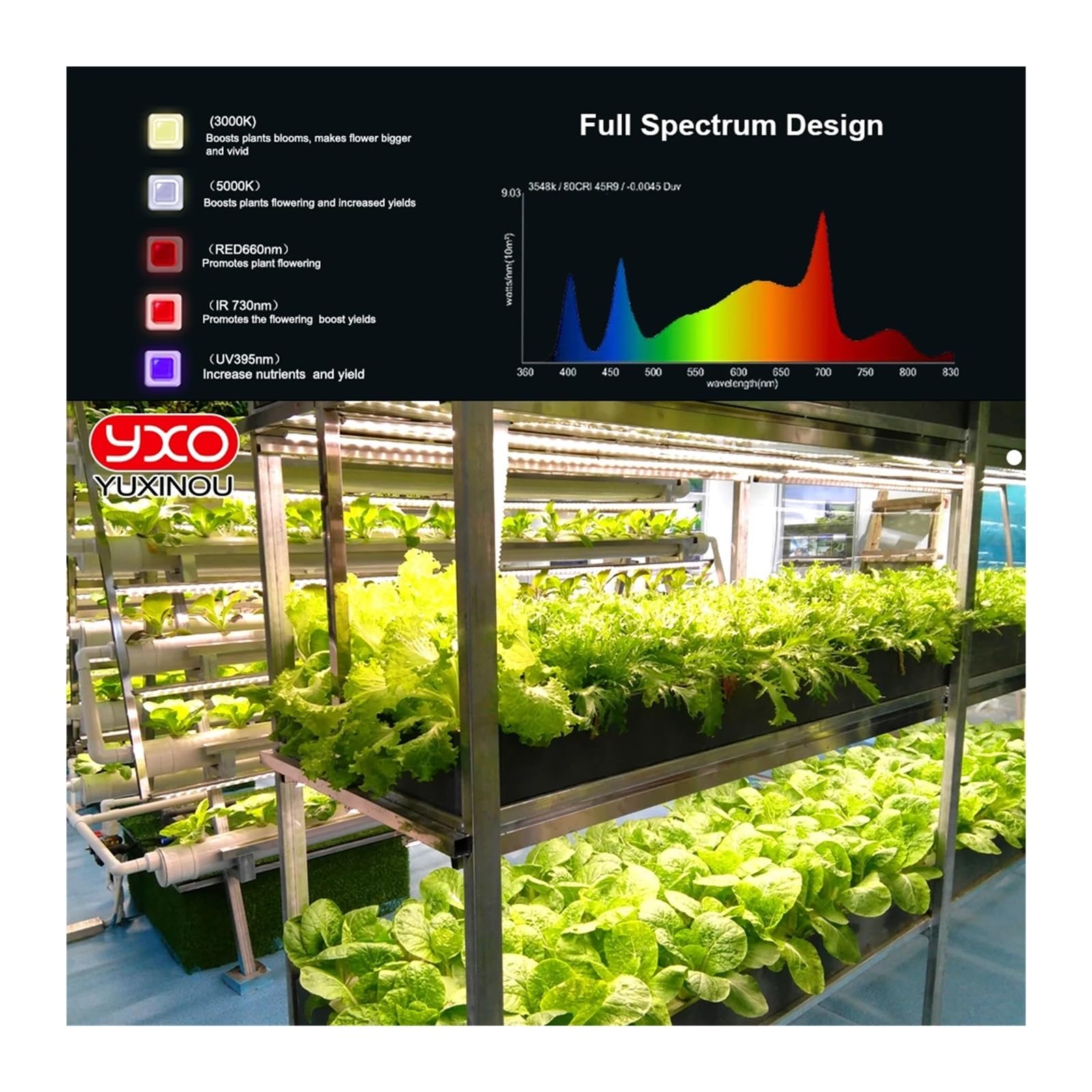 Luz de cultivo LED, Barra de tubo de luz LED hidropónica Lm301H EVO , lámpara Phyto LED de espectro completo for tienda de flores de interior, crecimiento de plantas Para plantas de interior y exterio