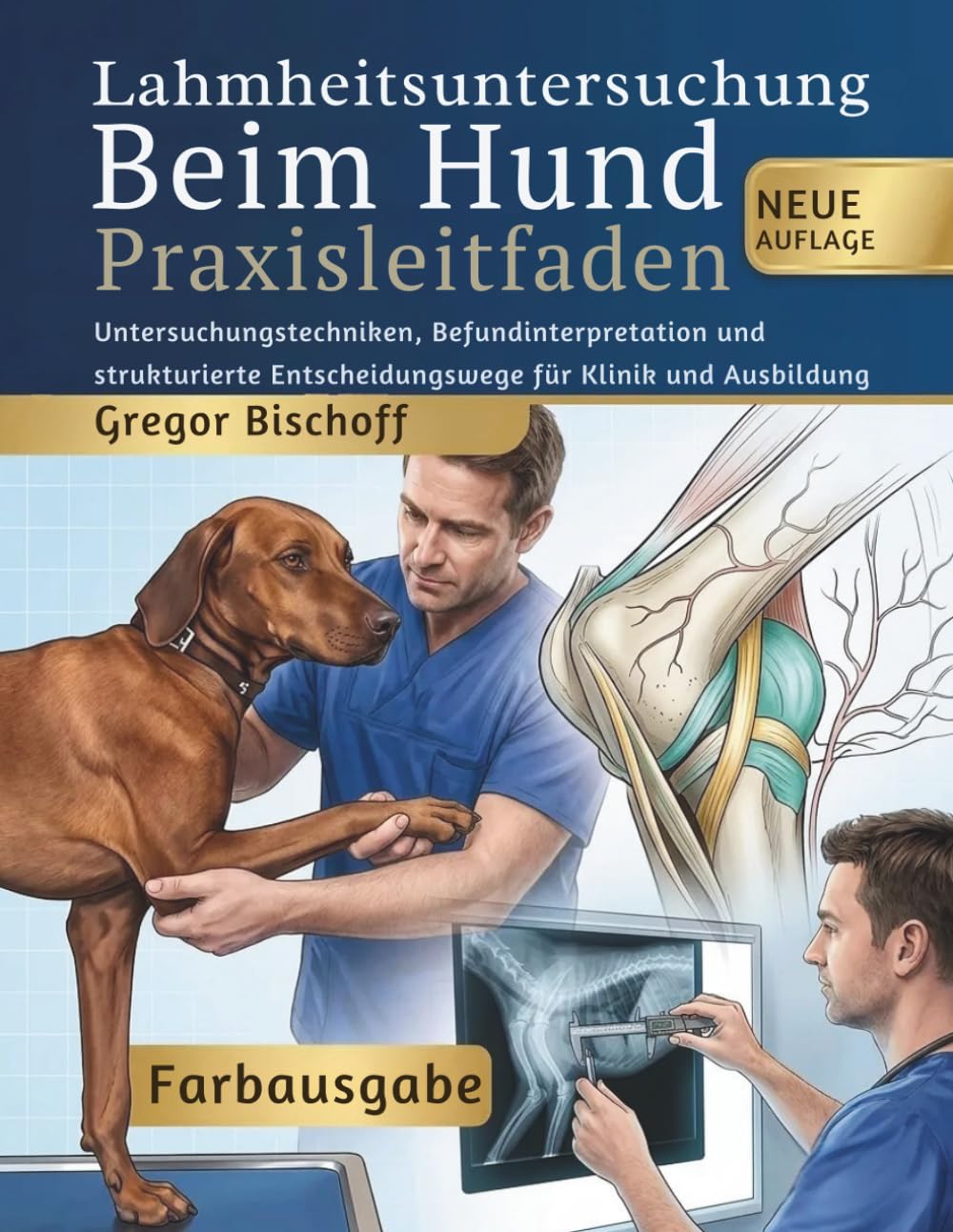 Lahmheitsuntersuchung Beim Hund Praxisleitfaden: Untersuchungstechniken, Befundinterpretation und strukturierte Entscheidungswege für Klinik und Ausbildung