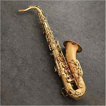 ゴールド テナーサックス本体 マウスピース付き 71uiIybJcQL._AC_UF350,