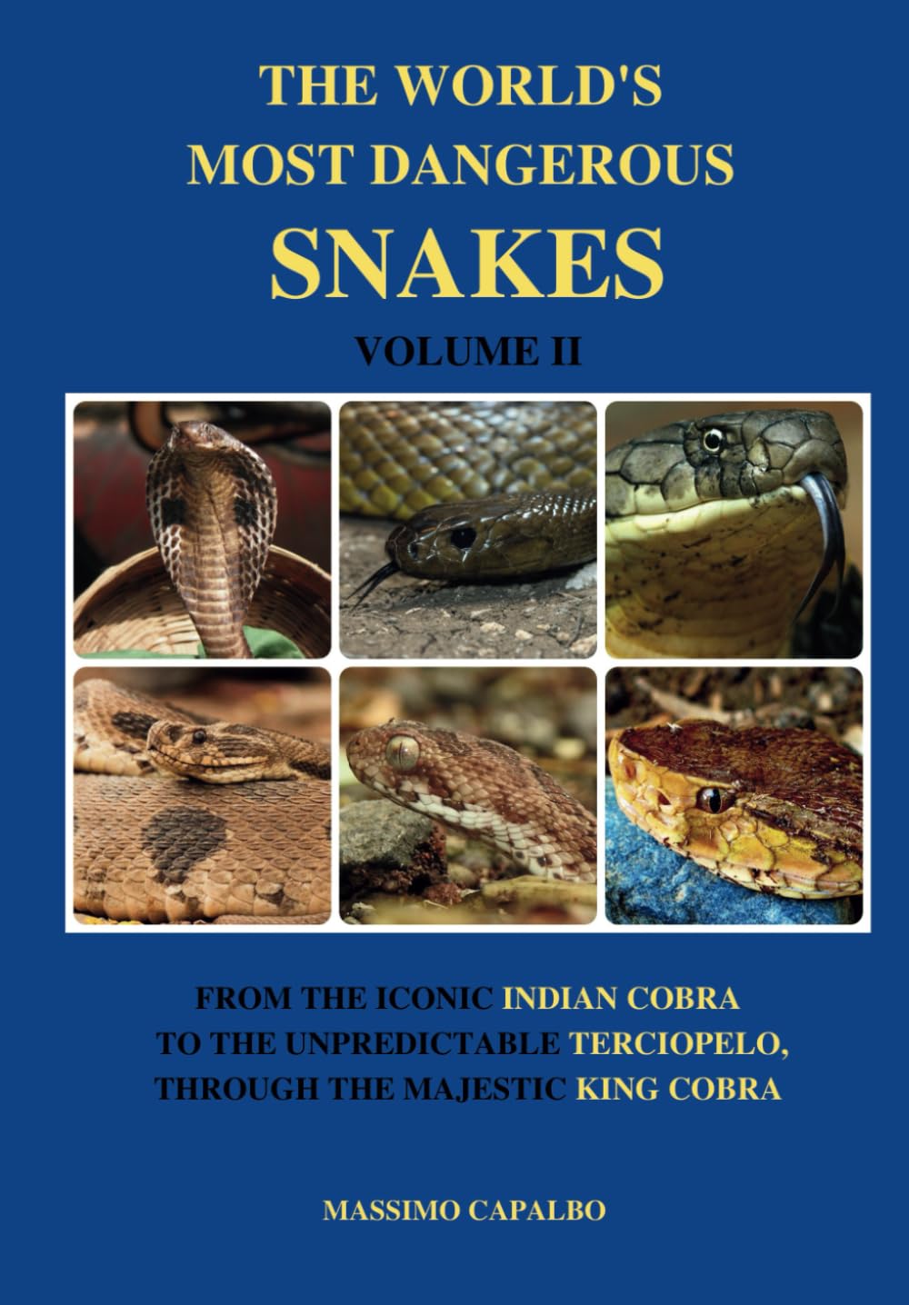 The World's Most Dangerous Snakes - Volume II: From the iconic Indian Cobra to the unpredictable Terciopelo, through the majestic King Cobra      Paperback – February 4, 2024