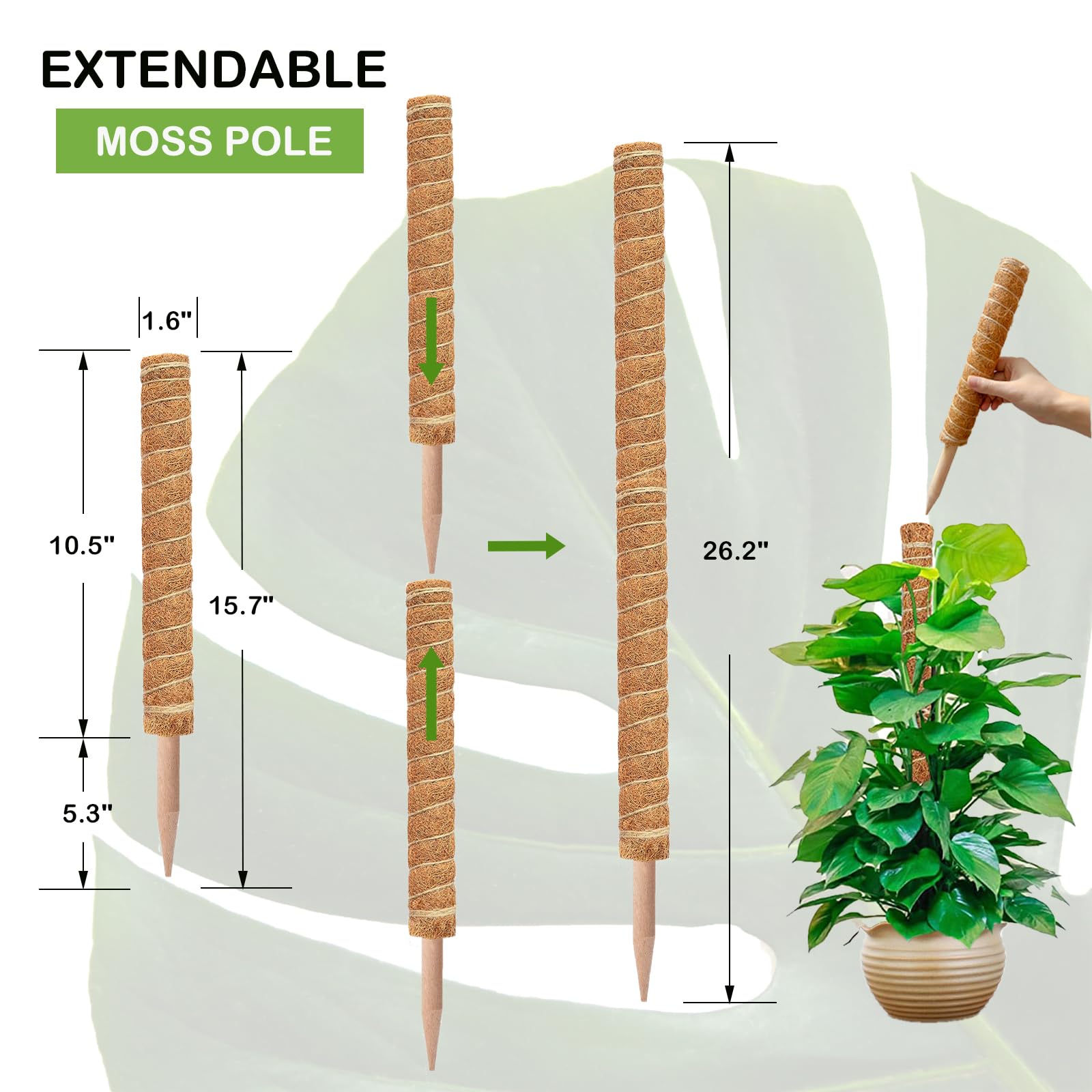 Lazamit 6 Pieces Moss Sticks for Plants Monstera, Total 180cm