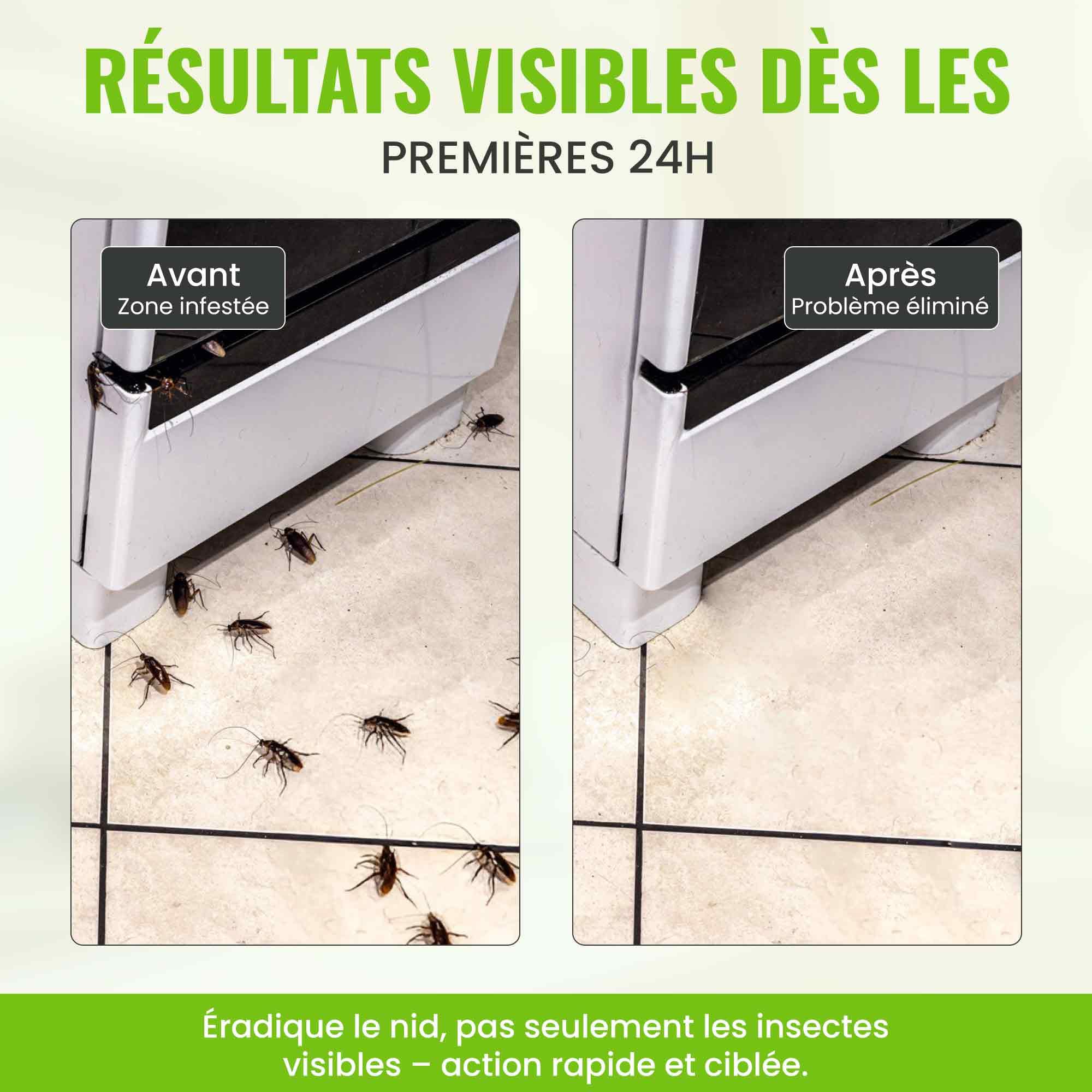 Gel Insecticide Anti Cafards et Blattes [Made in UE], Produit pour Blattes de qualité Professionnelle, Gel Puissant en seringue, Appât idéal pour recoins Difficiles - Lot de 2 * 10g