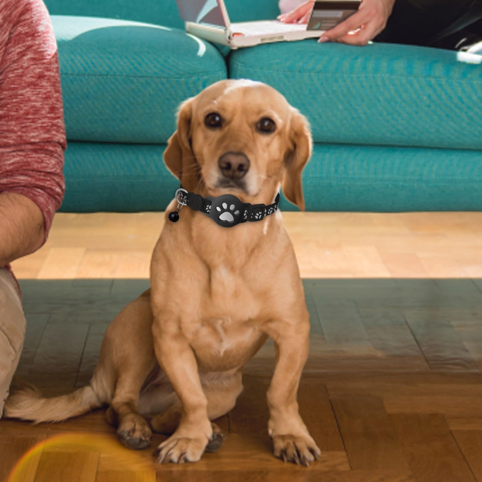 Collier GPS Chat, 2026 Nouveau Traceur GPS Chat Tracker, sans Carte SIM, sans Abonnement Mensuel, Localisation Temps Réel, Imperméable et Durable (Noir) - 4