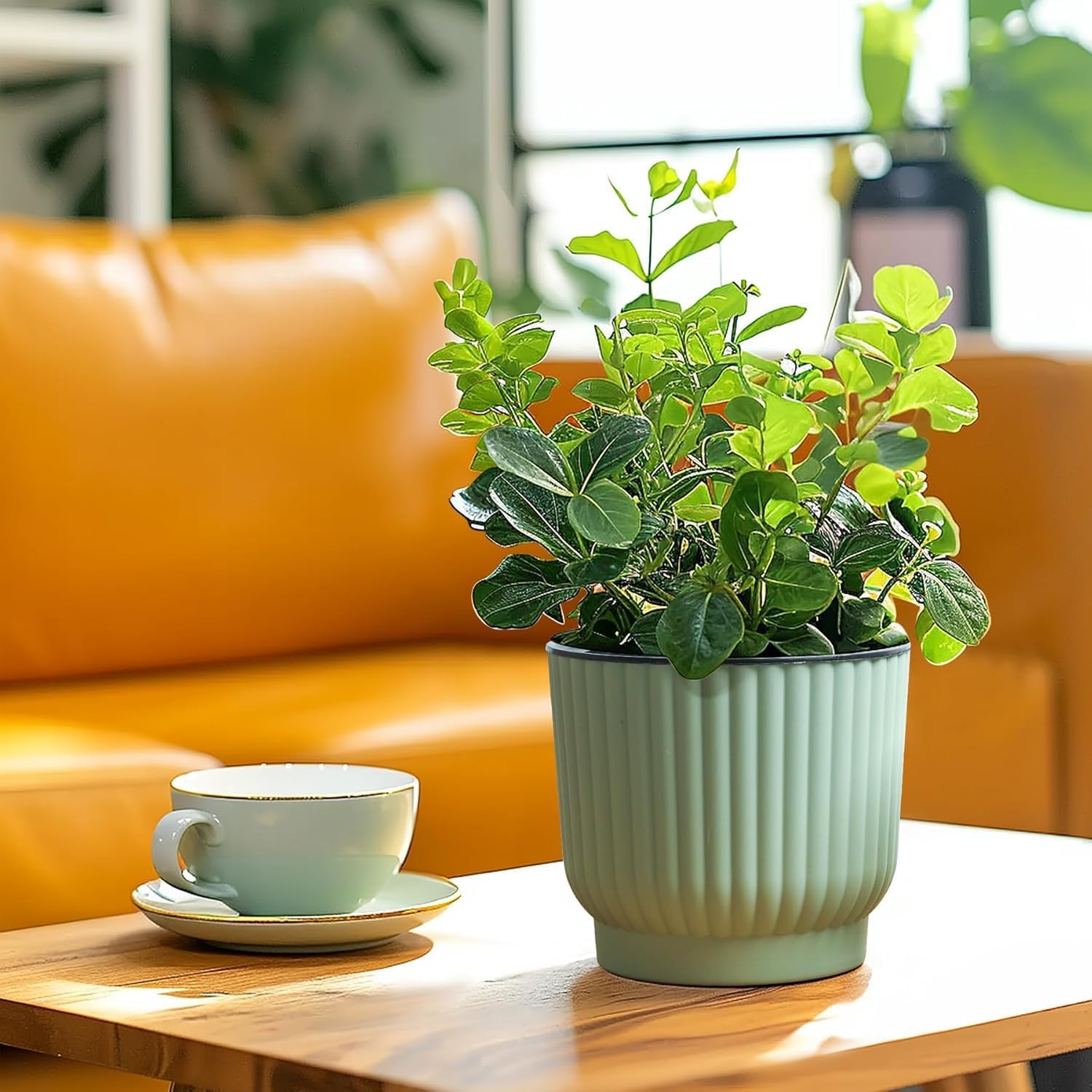 T4U 4.5 Inch Plant Pots Self Watering, 6 Pack African Violet Pots, Small Plant Pots for Plants, Small Indoor Plant Pot, Self Watering Planter for African Violet, Succulents (6 Pack 4.5" Pots, Green) - Image 10