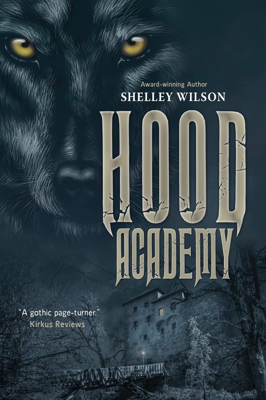Buy Hood Academy โ BookShops.in