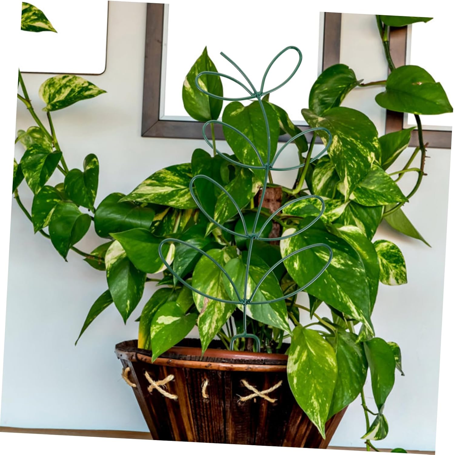 Balacoo 2pcs Iron Garden Trellis Indoor Plant Gardening Tool Trellis for Potted Plants Garden Trellis for Climbing Plants Outdoor Supporting Racks Small Plant Pot Trellis Fixed Rod Metal, Green