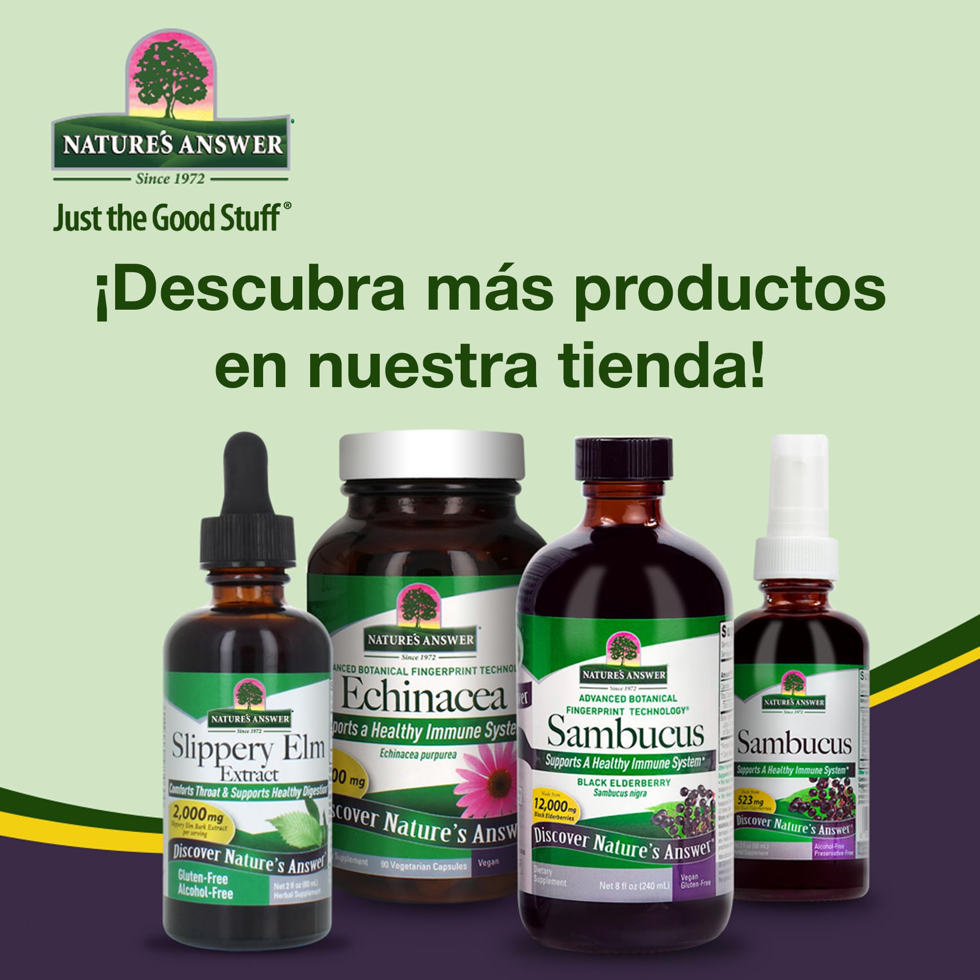 Nature's Answer, Saw Palmetto Extract (Extracto de Saw Palmetto), Sin Alcohol, Gotas Veganas, 30ml, Probado en Laboratorio, Sin Gluten, Sin Soja, Vegetariano, No GMO