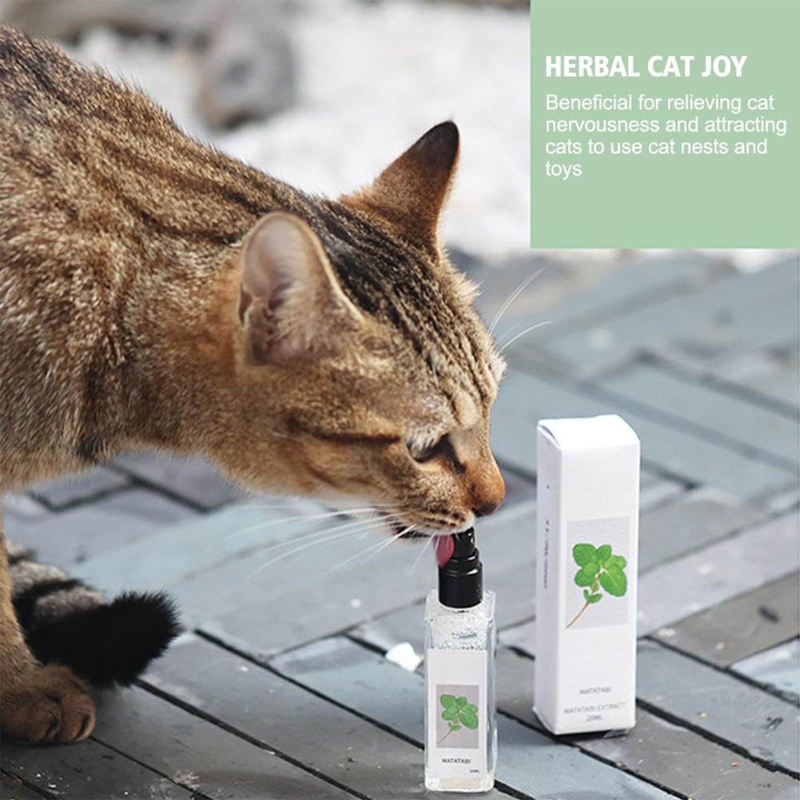 Rhycoma Herbal Cat Joy Spray, Kitty Joy Herbal Cat Spray,for All Cat, Cat Nip Spray for Cats, Catnip Spray for Indoor Cats, Cat Training Spray with Catnip (1PCS)