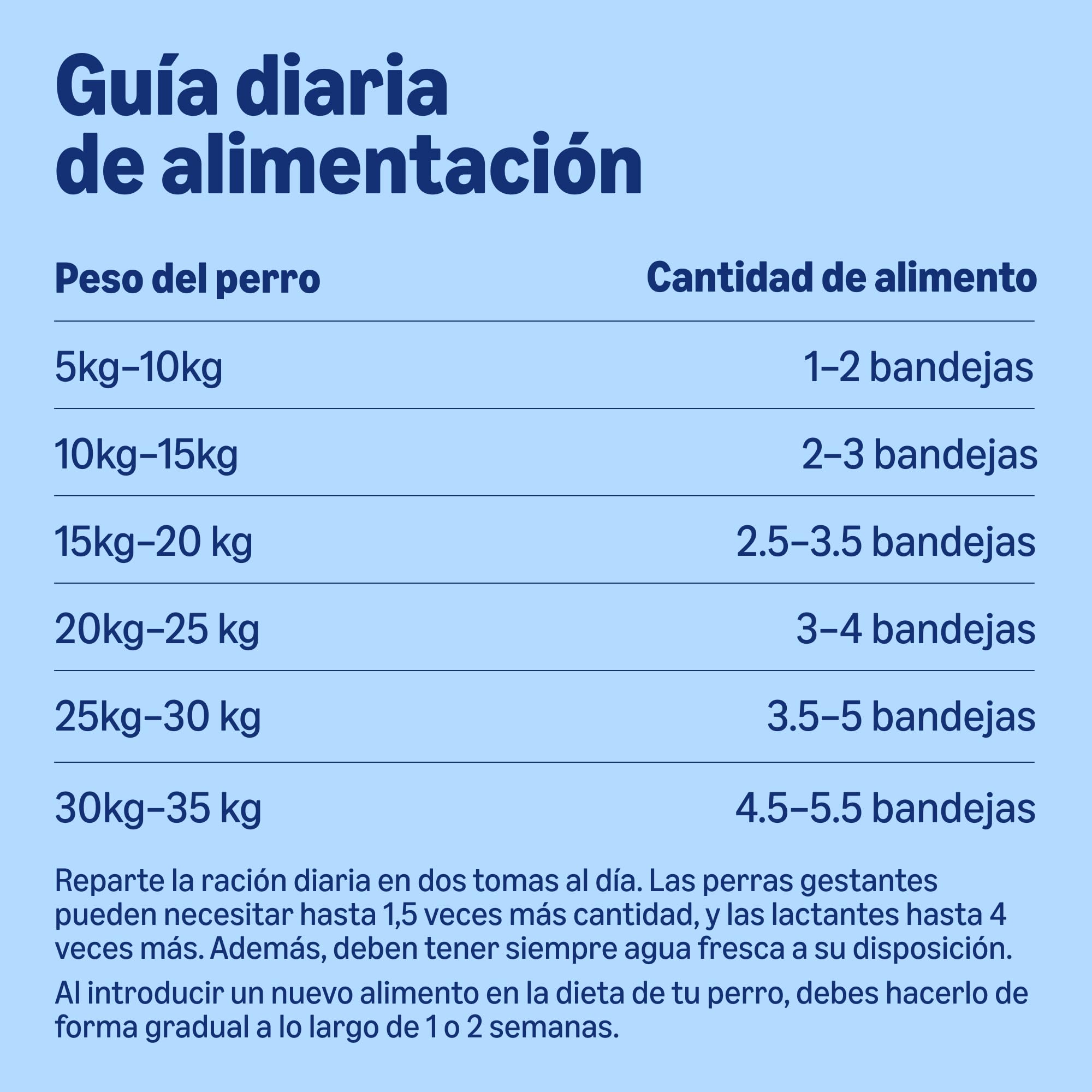 by Amazon Comida Húmeda para Perros, Paté Mixto, 300g, Paquete de 20