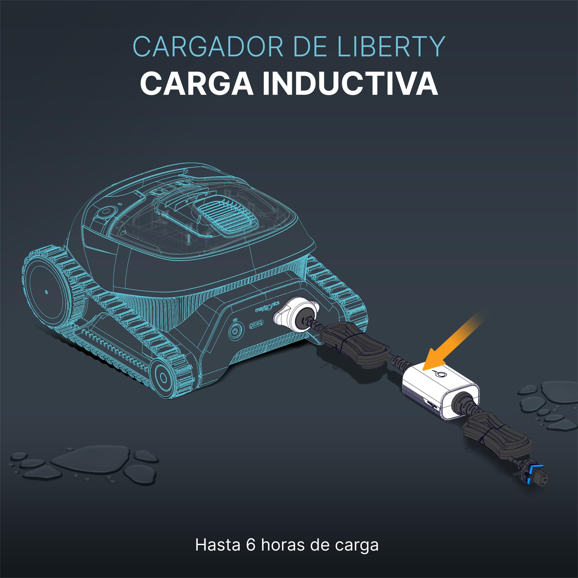 Dolphin Piezas de Recambio Originales - Cargador Liberty - Referencia Maytronics: 99956050EU-ASSY