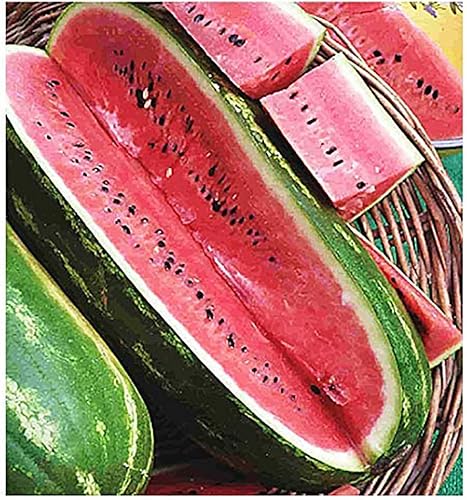 Miniatura 1 de Semillas de sandía Jubilee Heirloom