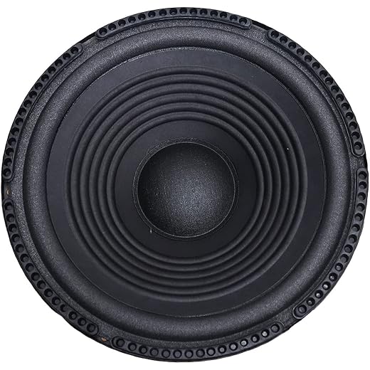 Electronic Spices 10 inch 4O to 8O ohm 80W to 120W Heavy D