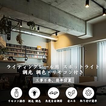 大光電機ダクトレール用スポットライト(電球色LEDランプ付き)黒×3個セット ペンダントライト スポットライト 4個セット ダクトレール用