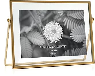 MIMOSA MOMENTS Brass Metal Floating Picture Frame (Brass, 4x6 horizontal)
