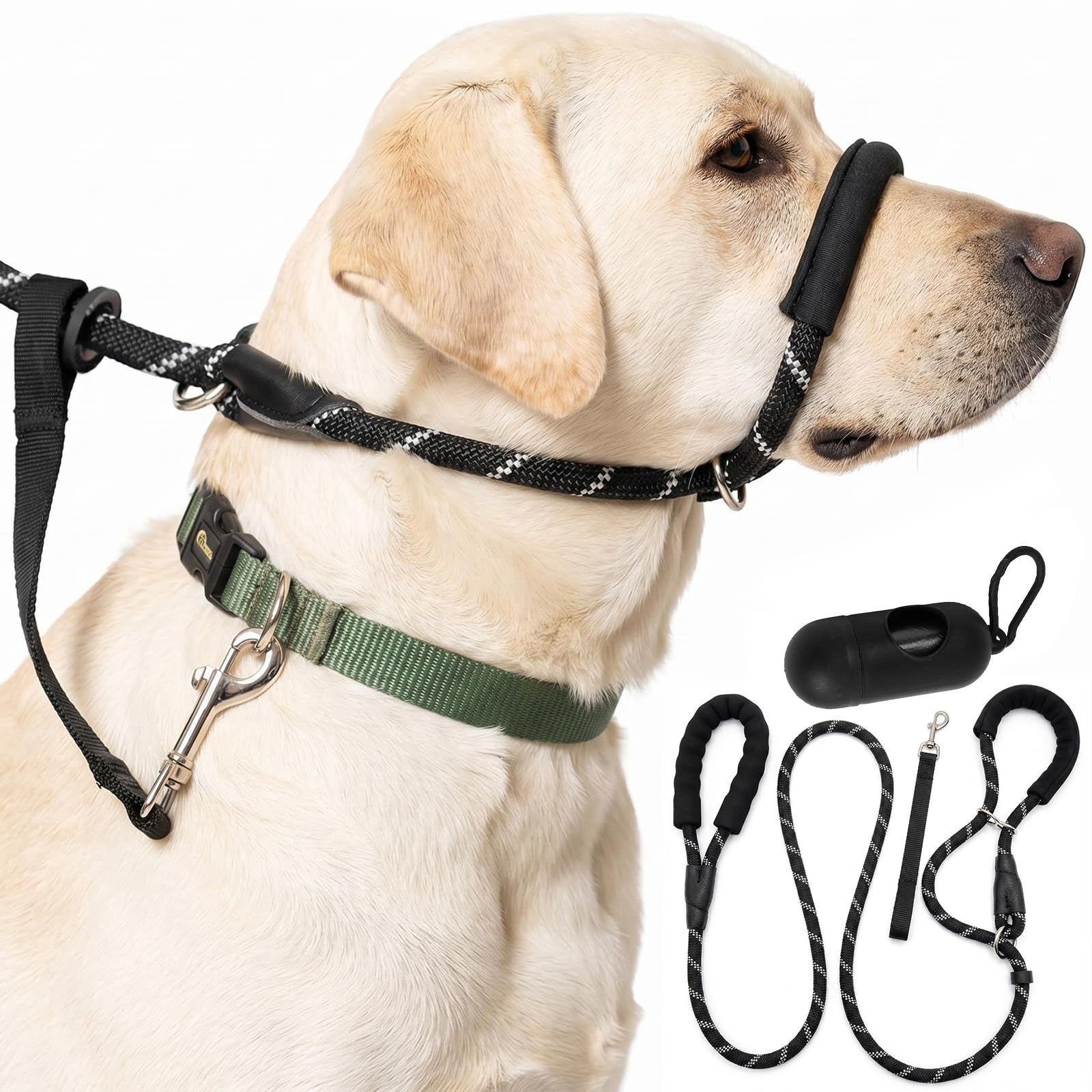 Laisse coulissante en 8 anti-traction pour stopper les tiraillements de chien