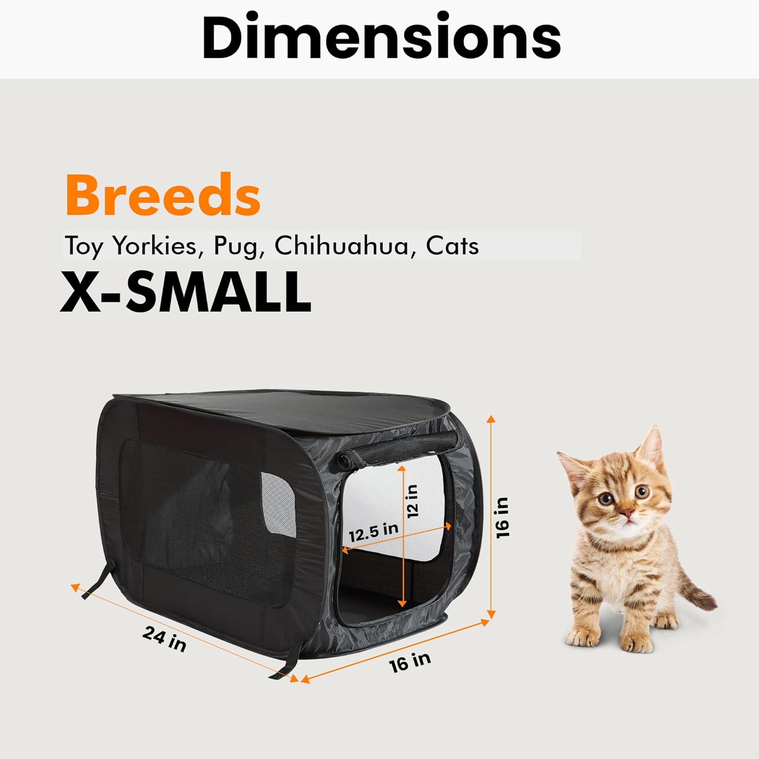 Travel in Style: Review of Beatrice Home Fashions Portable Pop Up Kennel for Pets
