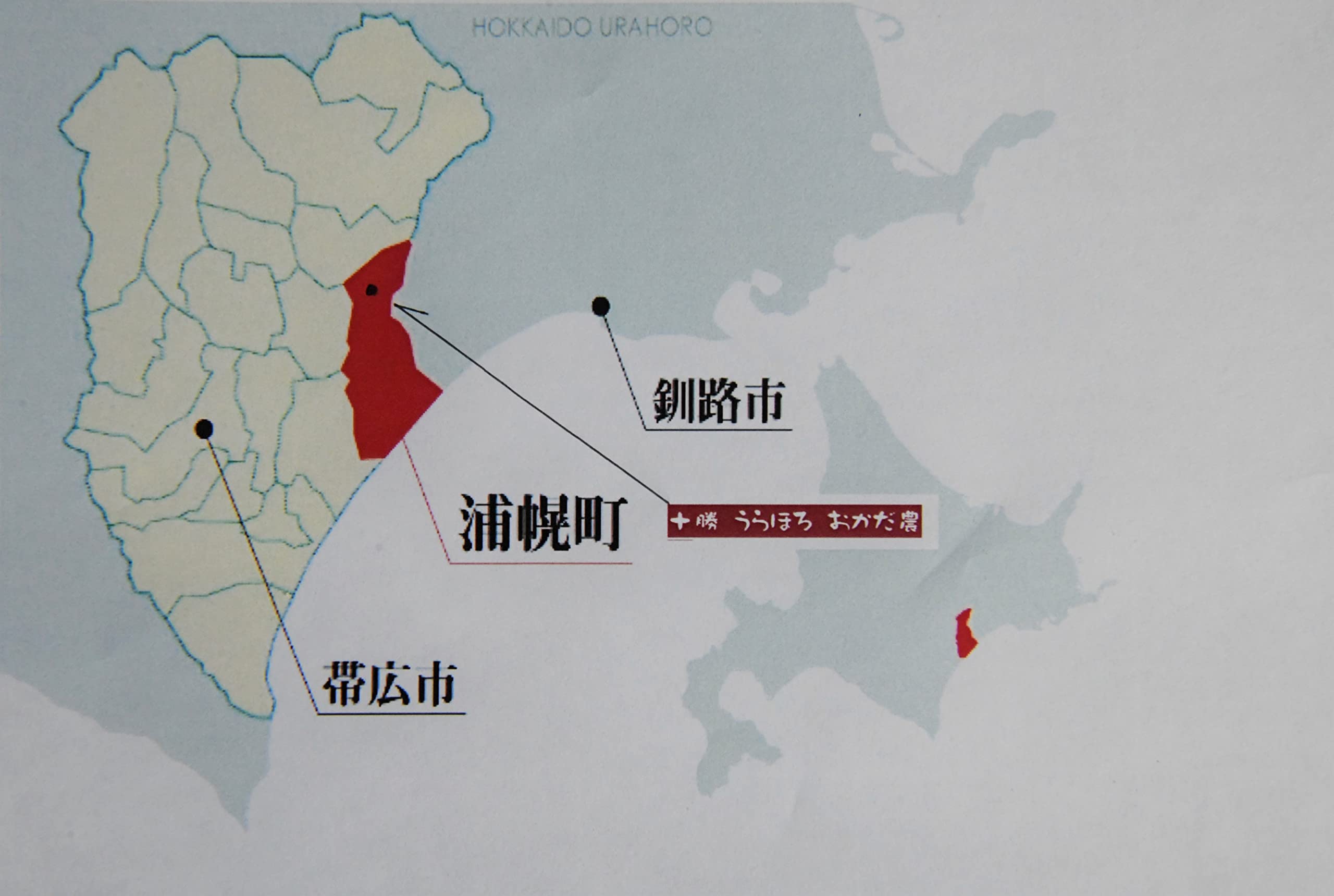 Amazon.co.jp: 北海道十勝産 小豆（エリモショウズ