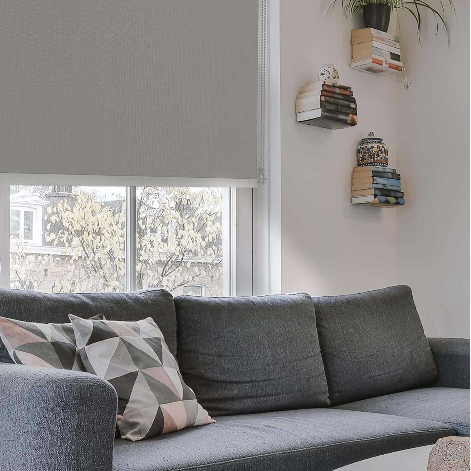 Estika Tenda a rullo oscurante senza forare - 50 x 220 cm - Grafite - per interni, per finestre, tessuto in 6 colori, garantisce privacy, protezione solare