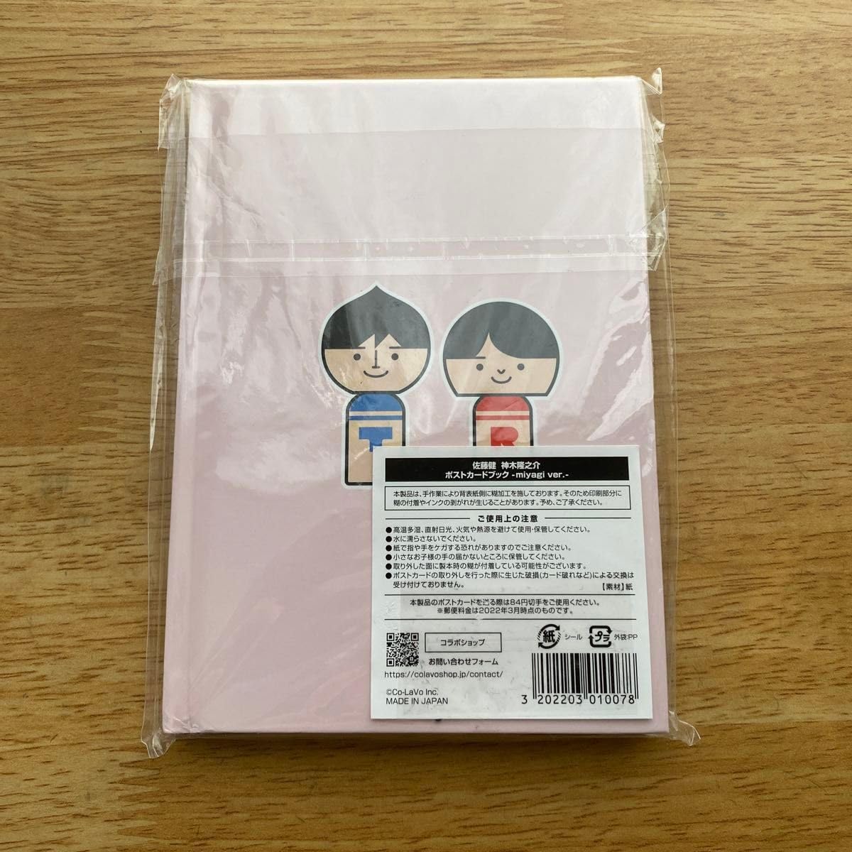 Amazon.co.jp: 佐藤健 神木隆之介 ポストカードブック miyagi