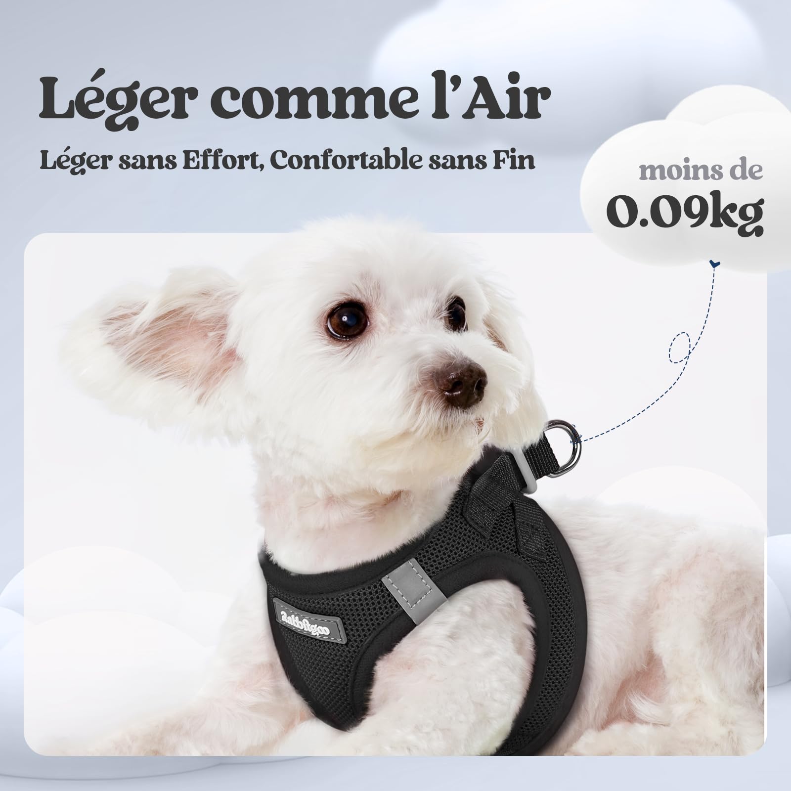 rabbitgoo Harnais Chien Petite Taille avec Laisse Réfléchissant, Harnais Chiot en Maille Souple, Gilet Réglable Facile à Mettre, Arnet pour Chien Petit et Moyen pour Marcher Courir, Noir S
