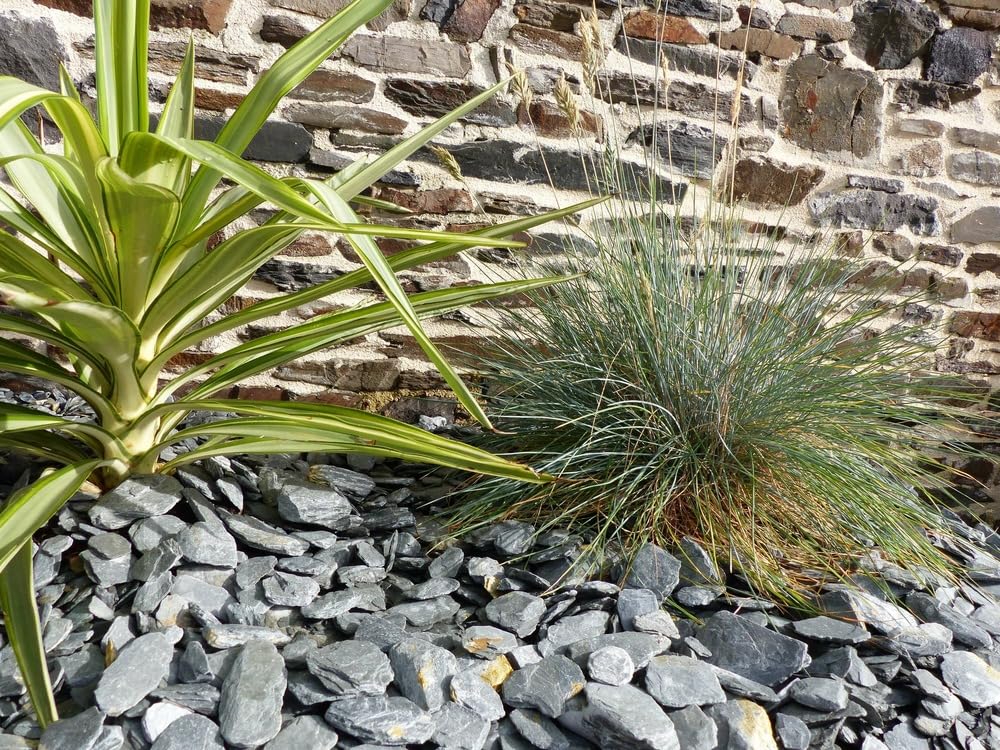 HYDROPLANETE - Paillis Ardoise Gris Vert 30/60 UAB 20kg – Schiste Ardoisier Naturel – Anti Mauvaises Herbes, Drainage & Rétention Chaleur – Massifs, Pots, Allées – Inaltérable – Intérieur & Extérieur
