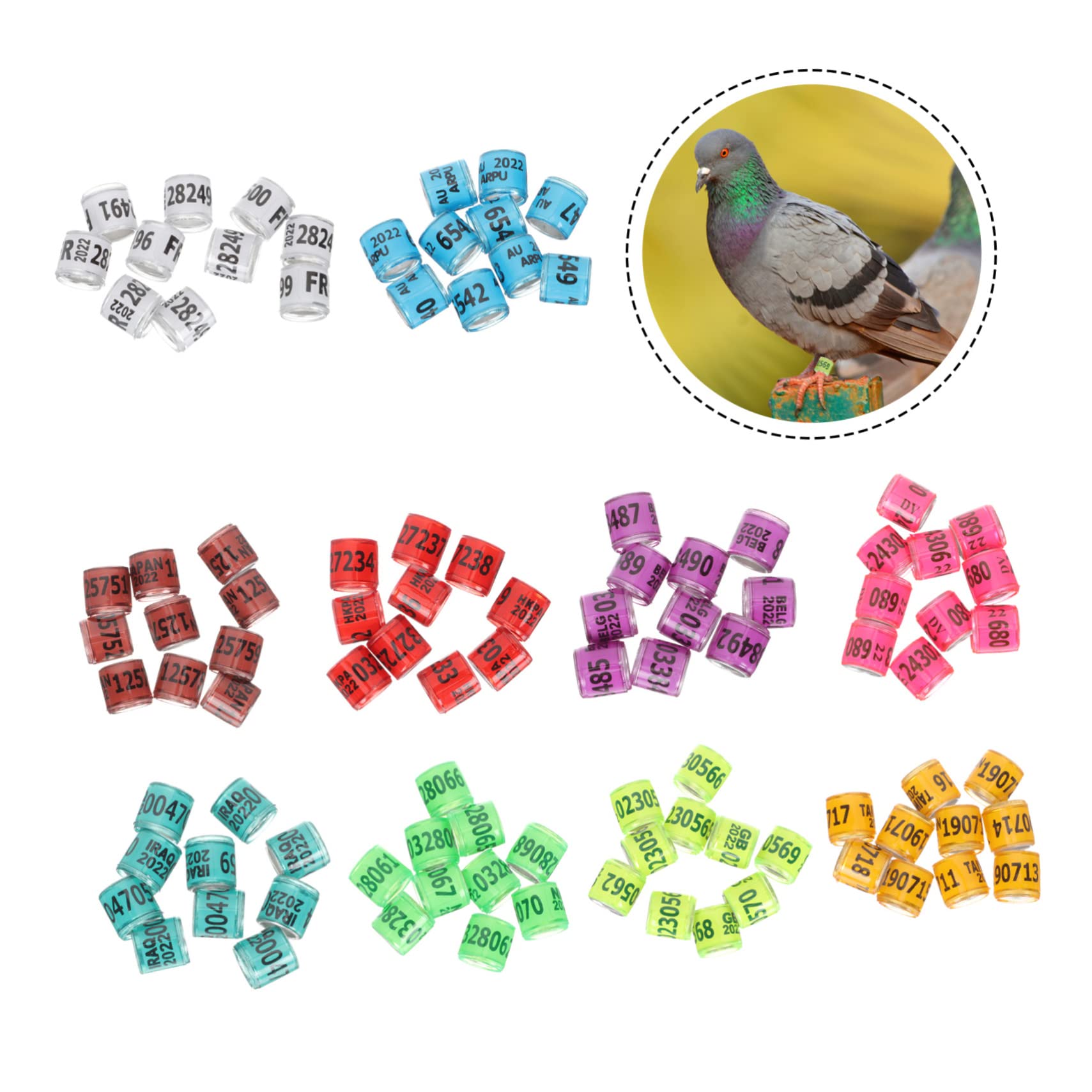 BESPORTBLE 400piezas Anillos De Identificación Abiertos De para Aves para Periquitos y Pájaros