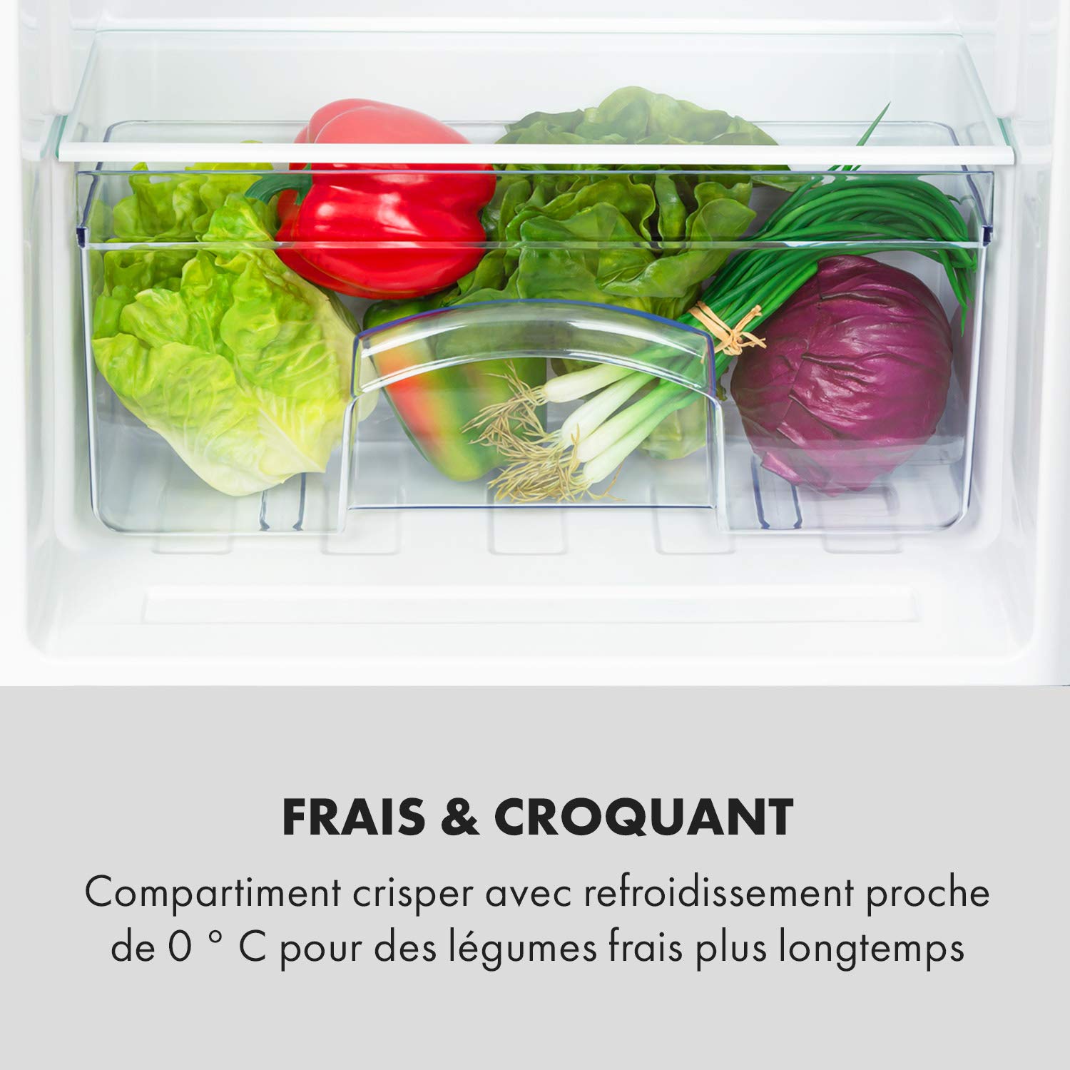 KLARSTEIN Cool Cousin - Combiné réfrigérateur congélateur, 80 L :69 L réfrigérateur et 11 L congélateur 3 étoiles, 2 clayettes en verre, 3 compartiments de porte, bac à légumes