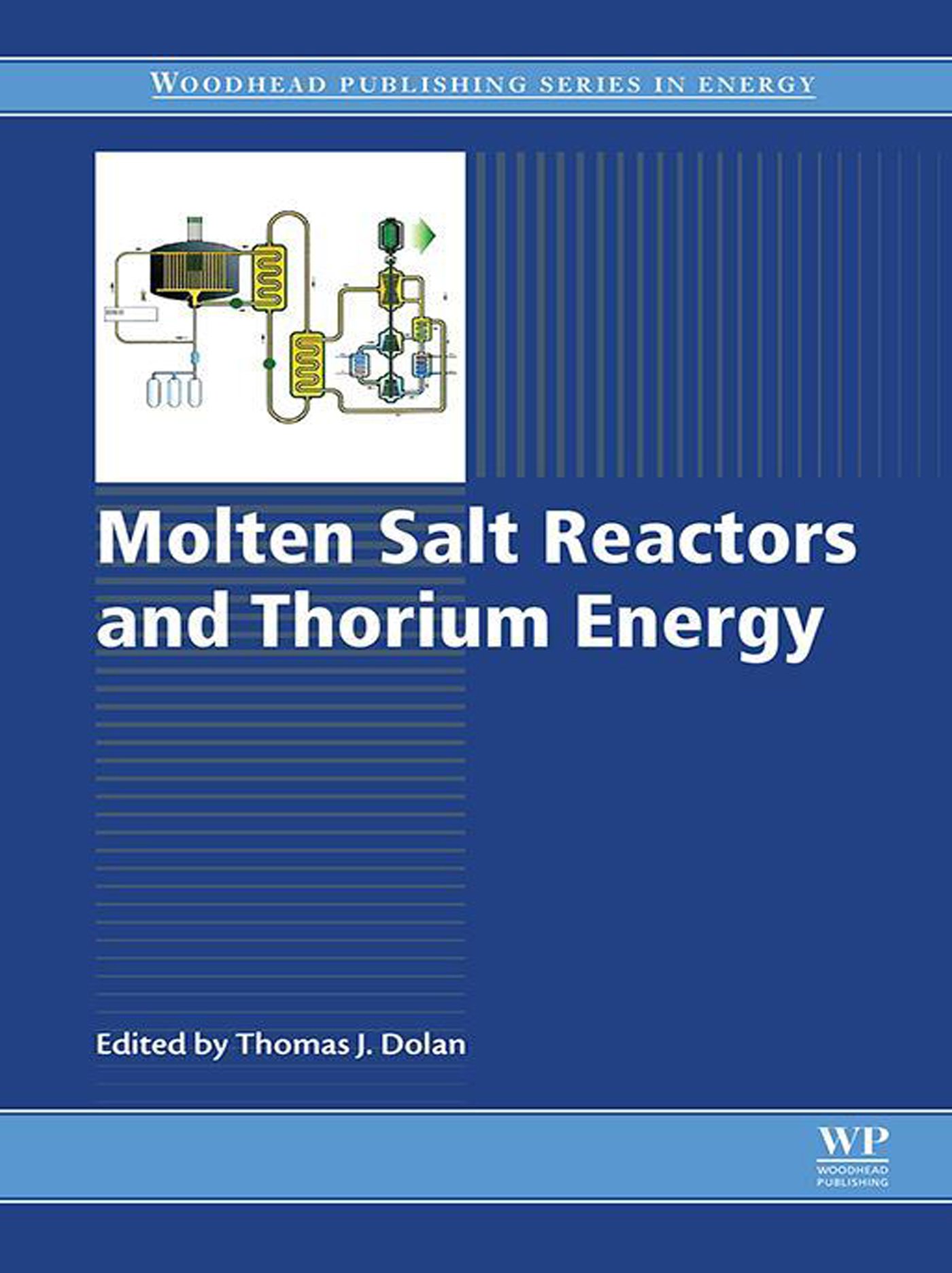 Molten Salt Reactors and Thorium Energy (Woodhead Publishing Series in Energy) (English Edition)