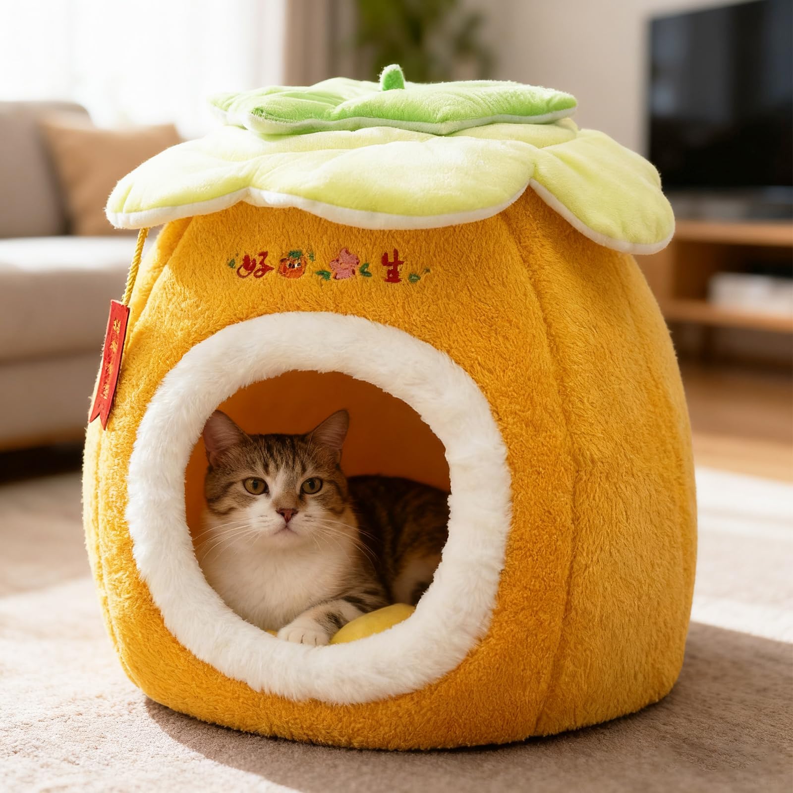 PETCUTE Panier pour Chat en Forme de Grotte,Lit pour Chats avec Fond Antidérapant,Nid Igloo pour Chats Chiens Petits Animal de Compagnie avec Coussin Amovible et Lavable,Facile à Plier et Ranger,L