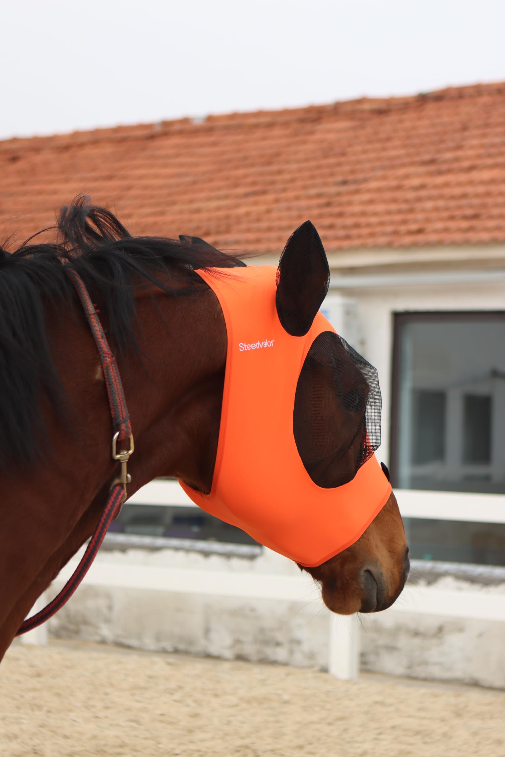 Steedvalor Horse Fly Mask Summer UV Protection Comfortable Fit for Horses Full Face Coverage