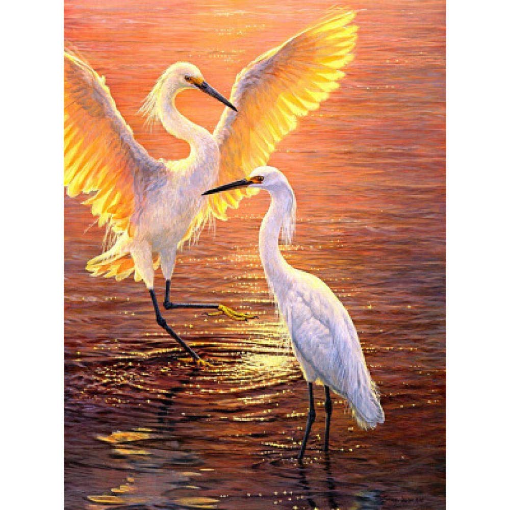 Peinture diamant 5D grand format anti stress mosaique oiseau eau