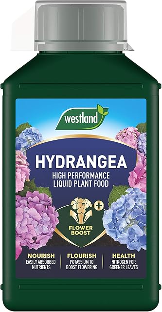 Westland 20100444 Hydrangea High Performance Liquid Plant Food 1 Litre, Green