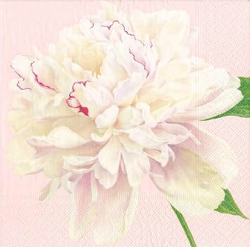 Caspari Duchess Peonies Paper Cocktail Napkins in Blush, 20 Per Package