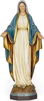 71uj1Ordr6L._AC_UF350,