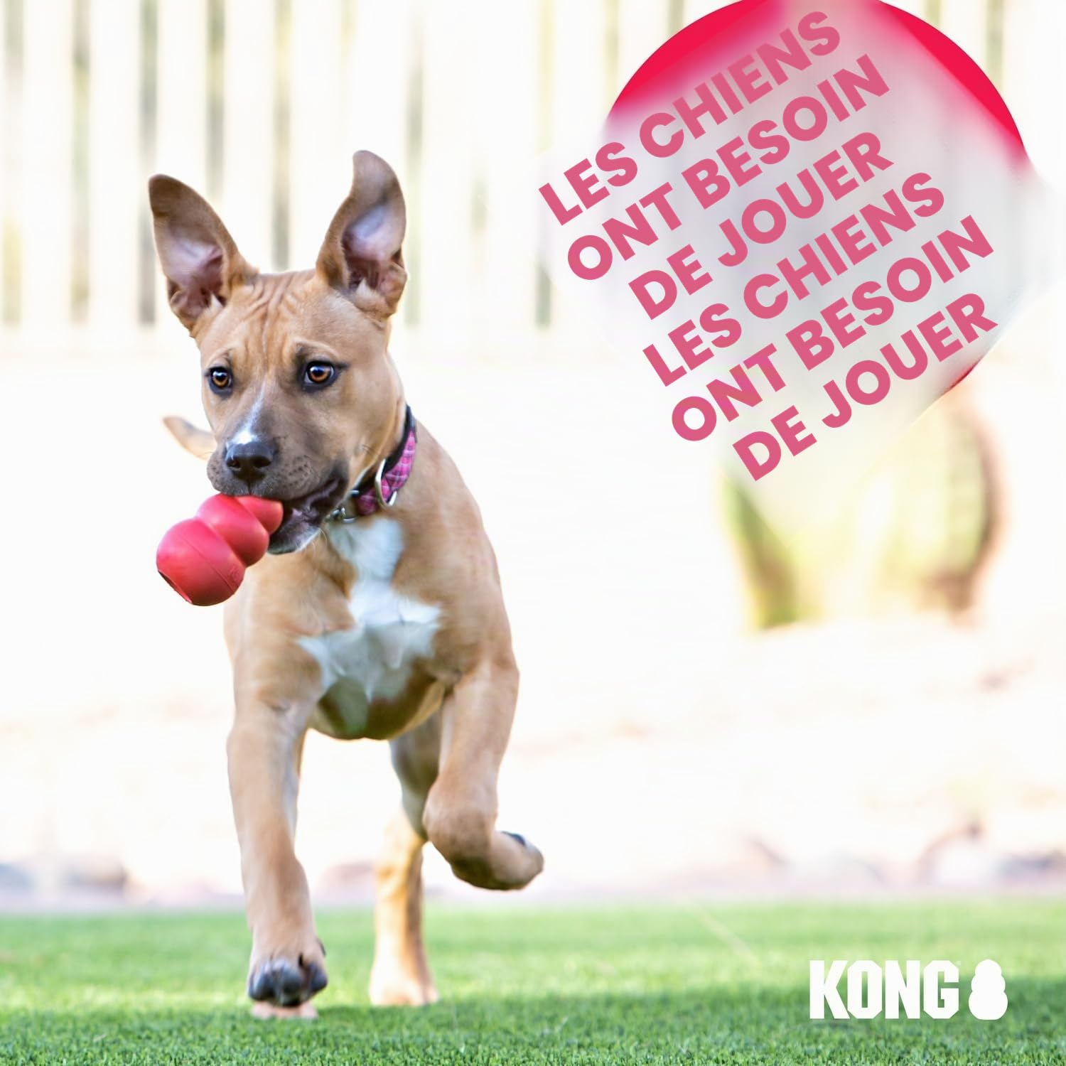 KONG Wobbler - Jouet Interactif pour Chien avec Distributeur De Friandises - Nourrisseur Lent pour Une Alimentation Saine - pour Chiens Moyens/Grands