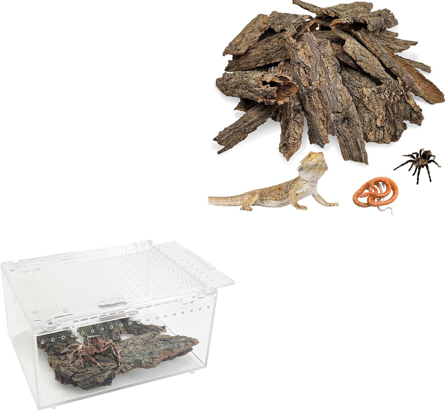 Reptile Cork Bark with Reptile Terrarium Enclosure Acrylic Tarantula Breeding Box Magnetic Hermit Crab Habitat Tank Transparent Jumping Spider Cage