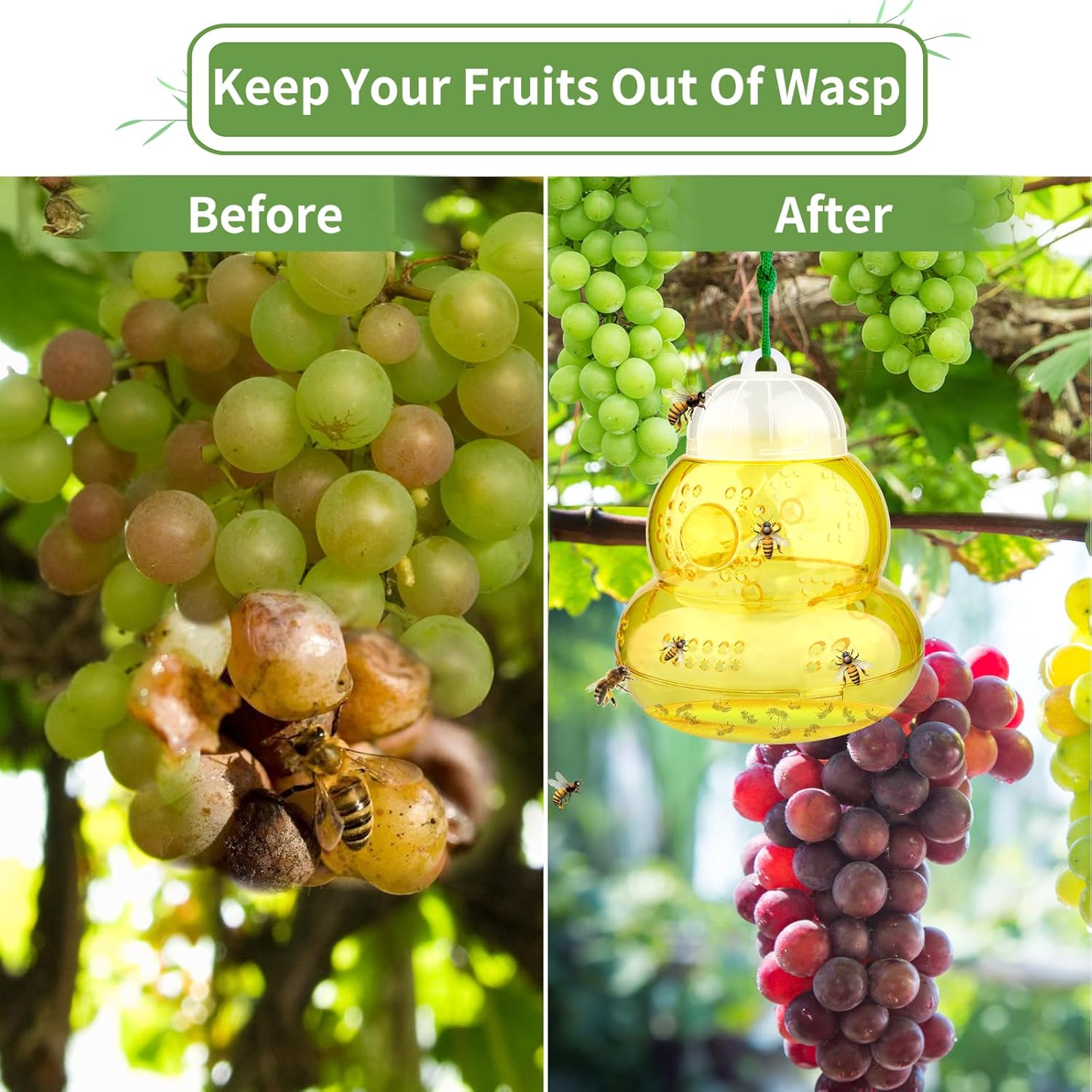 Wasp Trap Outdoor Hanging, Non-Toxic Reusable Hornet & Yellow Jacket Catcher, Effective Bee & Wasp Killer Insect Trap for Outdoor Use - 2 Pack Yellow