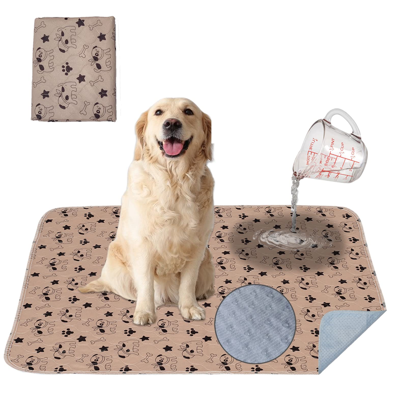 Why Does My Dog Pee In Puddles