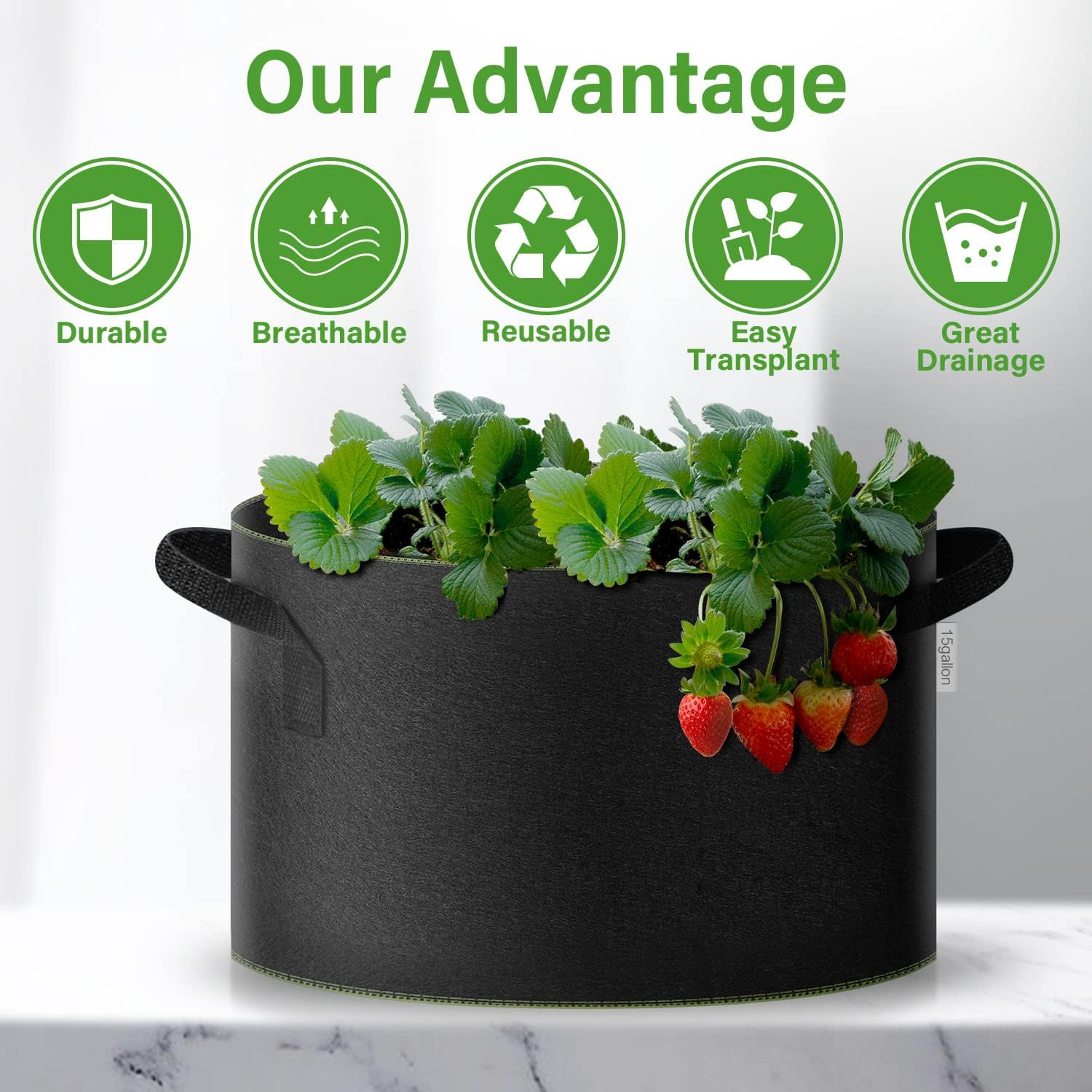 iPower Contenedores de Tela no Tejida aireación con Asas de Nailon, para Plantar Verduras, Frutas, Flores, versión 2024, Color Negro