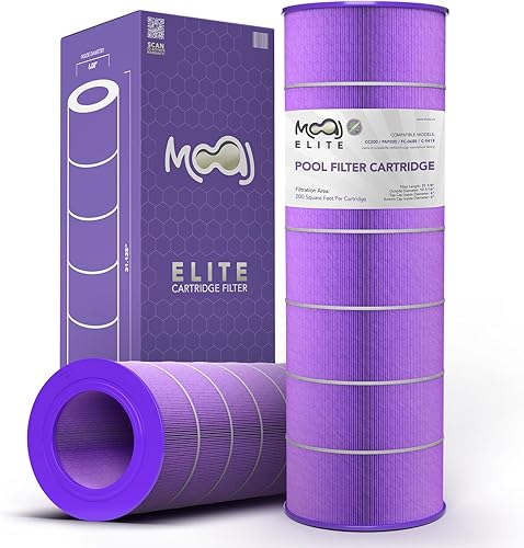 MOAJ Filtro Elite para piscina que reemplaza Pentair Clean & Clear 200, CC200, R173217, 160318, PAP200, Predator 200, FC-0688, C-9419, 31 18