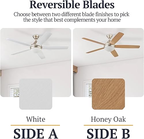 Miniatura 3 de Prominence Home 51630-01 Ashby Ventilador de techo