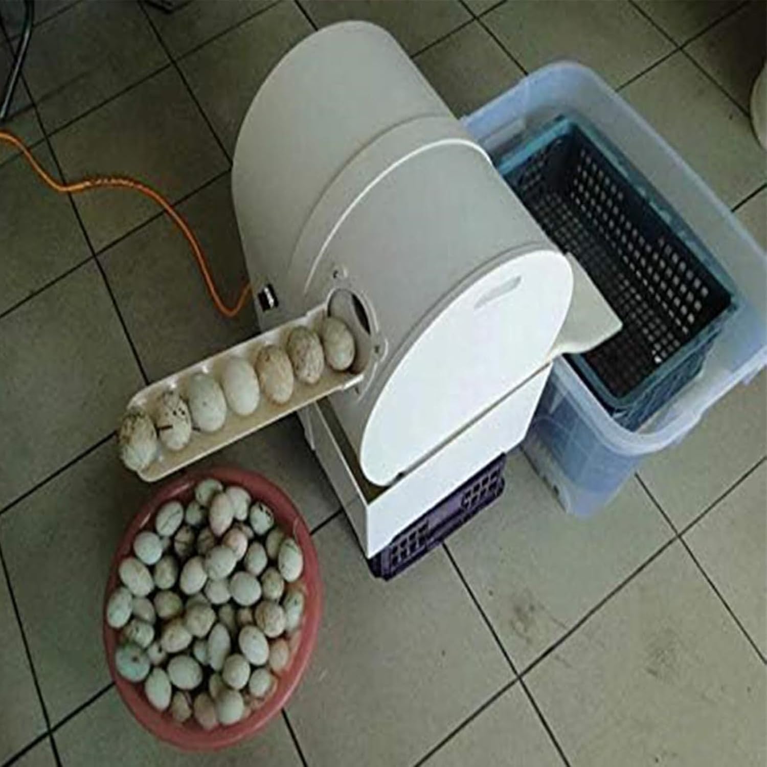 Dirty Duck Egg Washing Machine, 120W Brush Egg Washing Machine, Poultry Egg Washing Machine and Cleaning Machine, Duck Eggs Egg Washing Machine (Color : 110V)