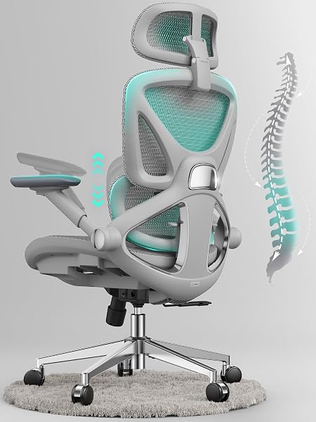 CAPOT Ergonomic Mesh Office Chair